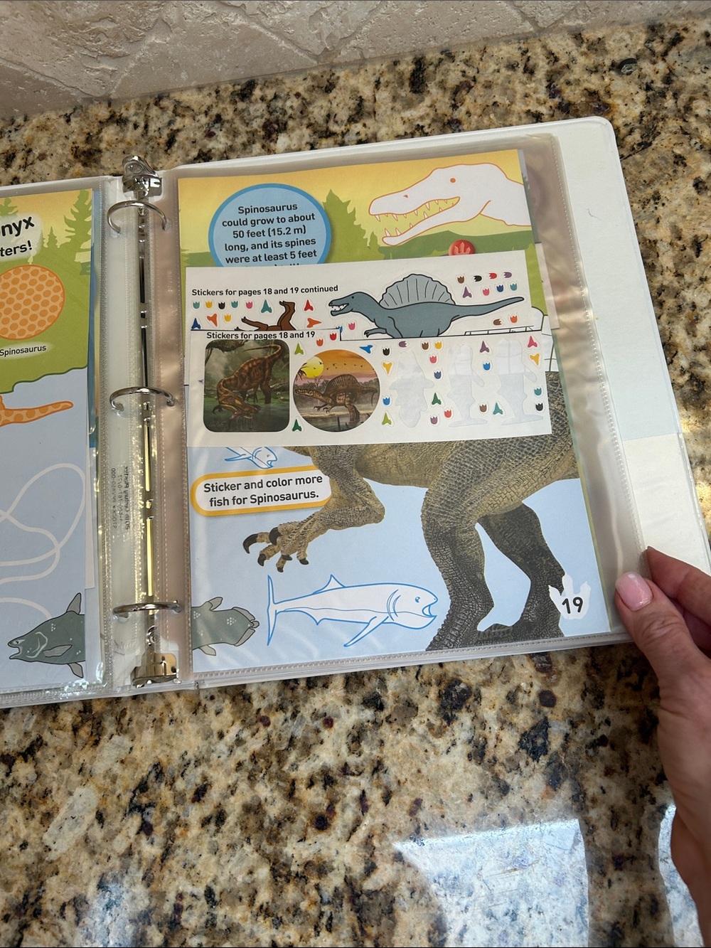 National Geographic Sticker Book - Picture 16 of 16